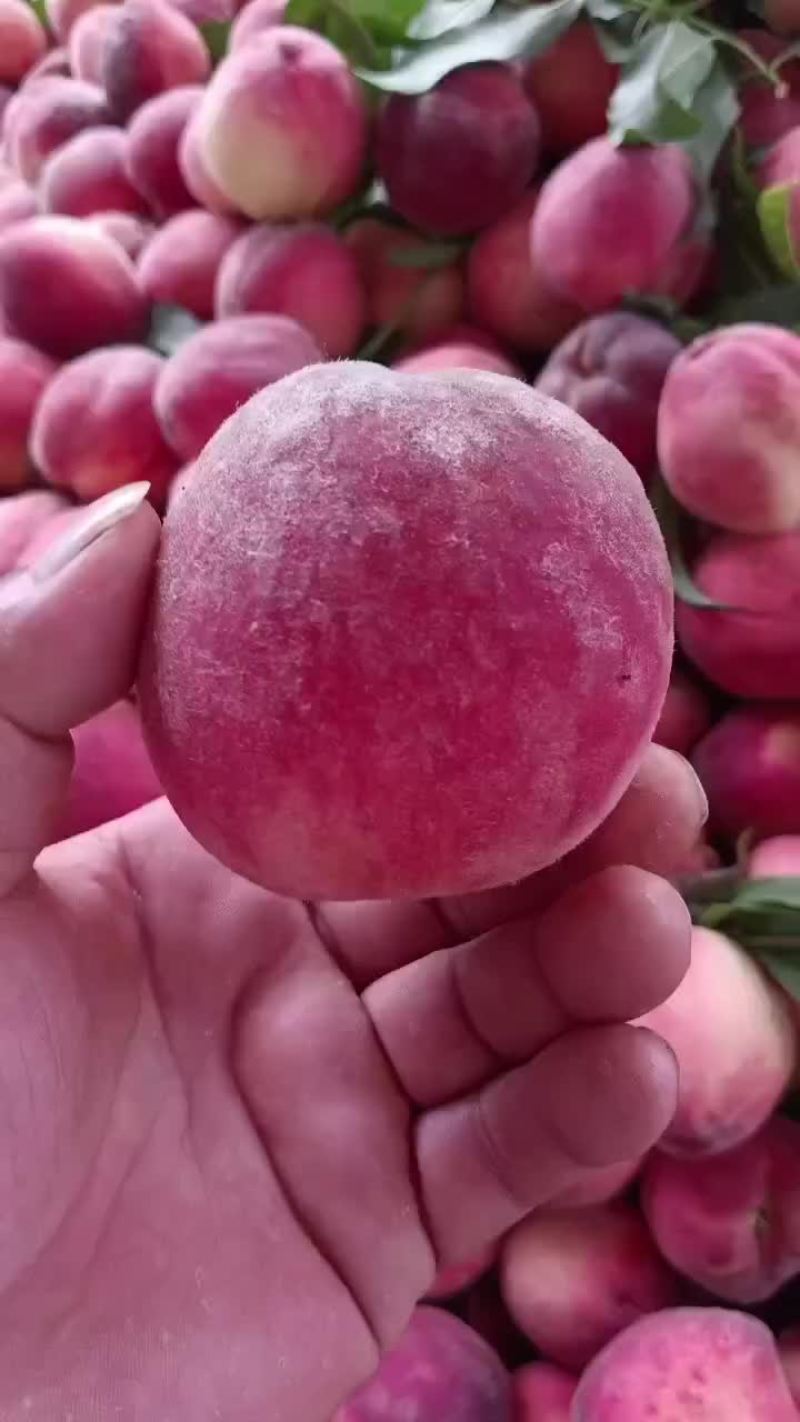 水蜜桃