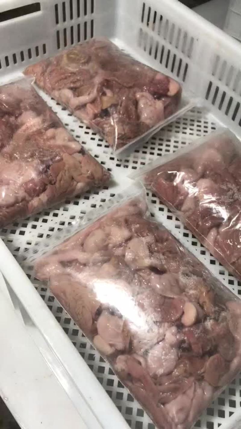 兔肚