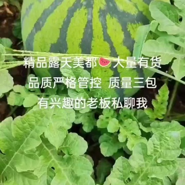 精品露天美都