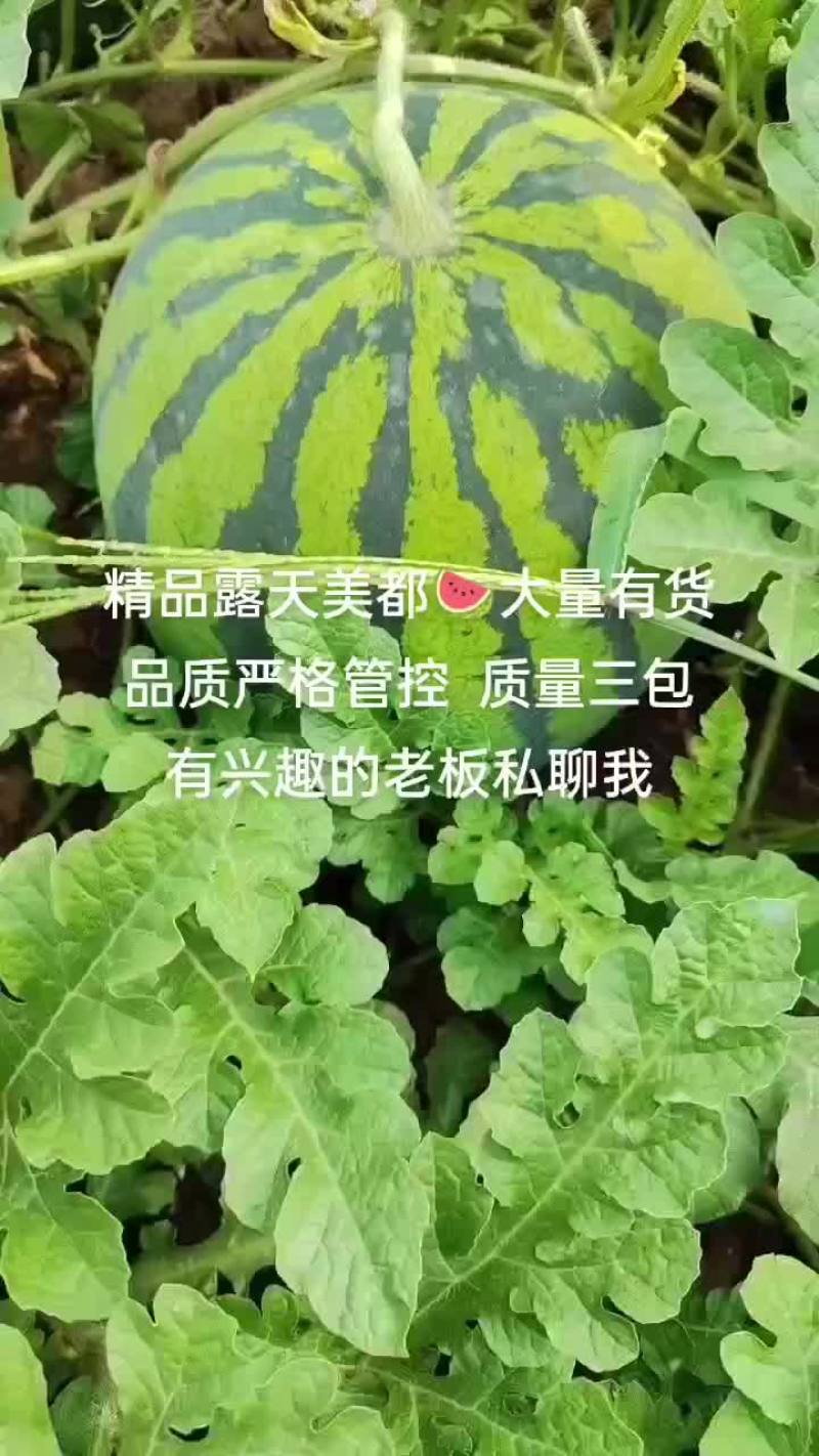 精品露天美都