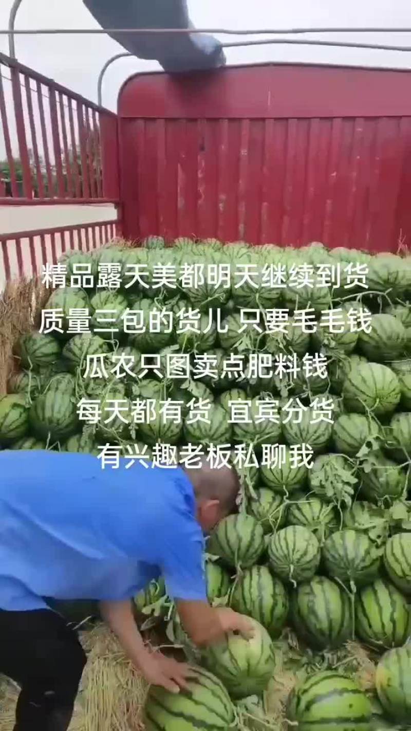 精品露天美都