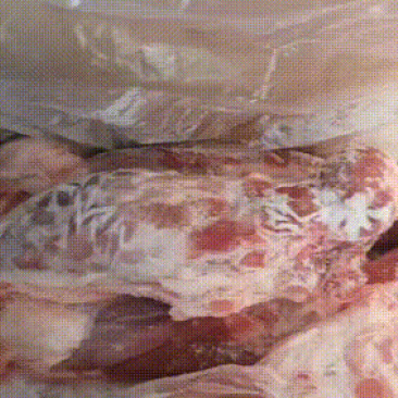 带腱后腿骨