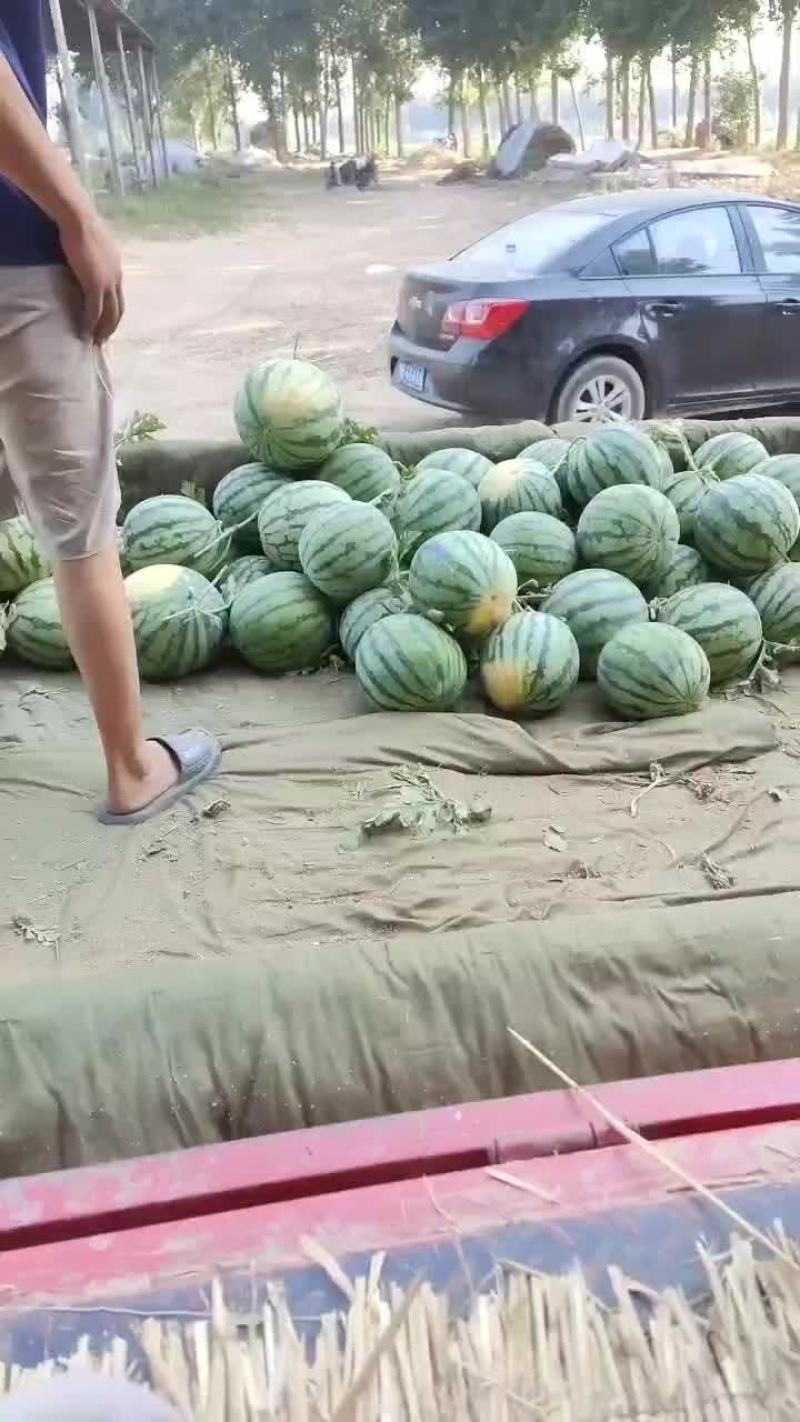 美都西瓜