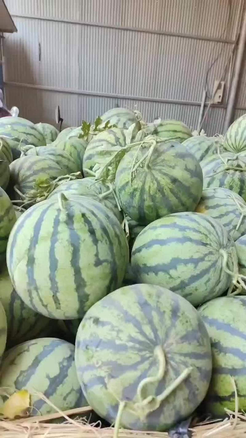 美都西瓜