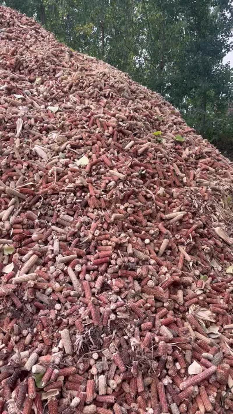 玉米芯颗粒