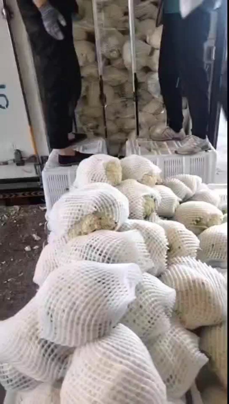 精品有机花