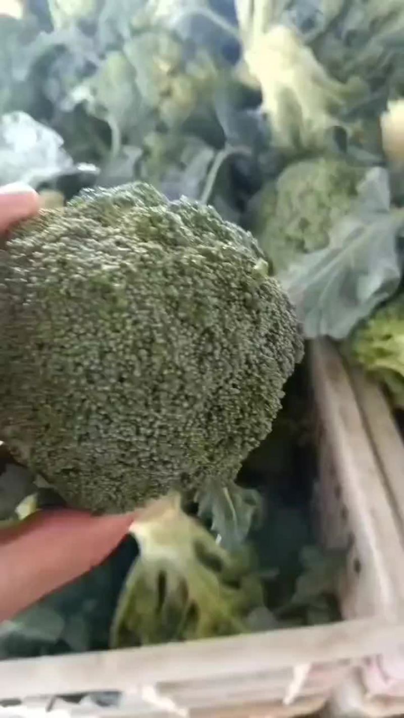 精品有机花