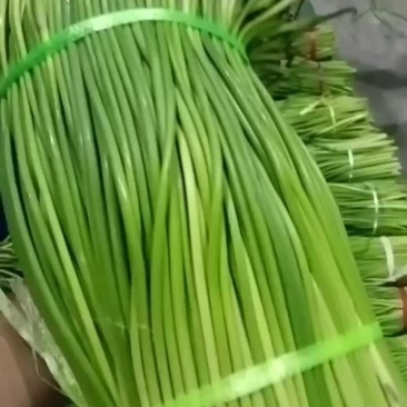 蒜苔