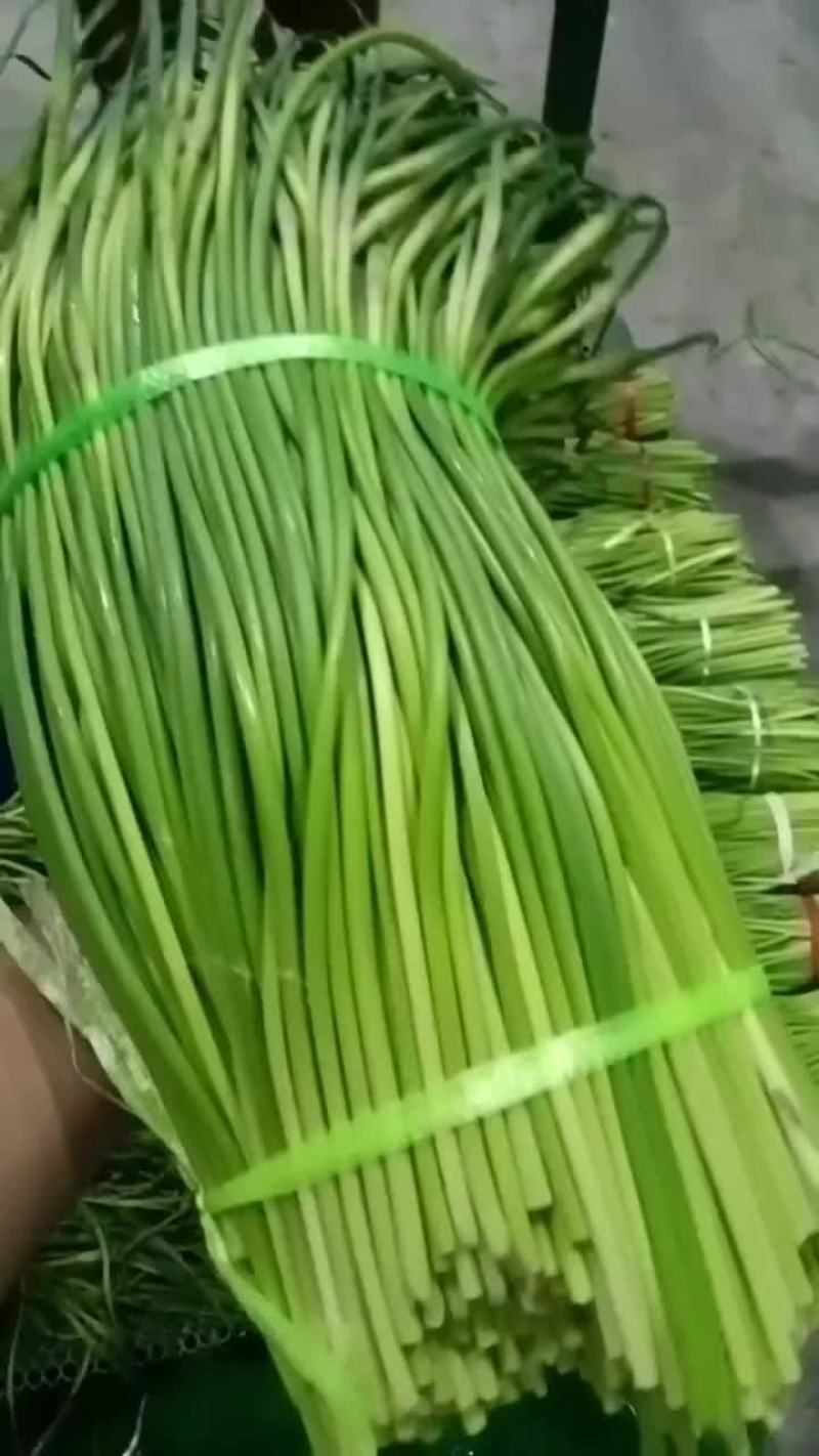 蒜苔