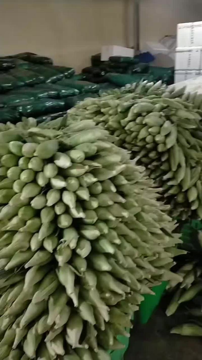 菠菜