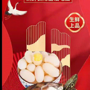 梦知味【龟鳖蛋】基地直供保质保量量大从优欢迎联系
