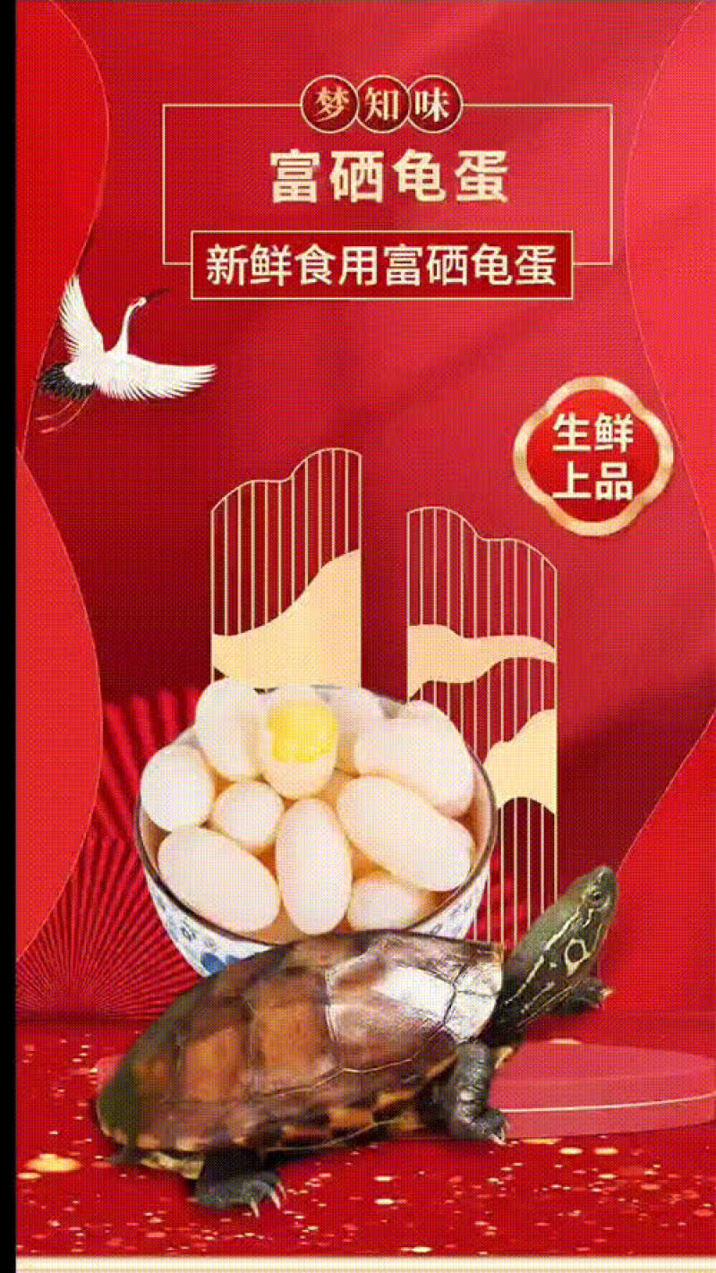 梦知味【龟鳖蛋】基地直供保质保量量大从优欢迎联系