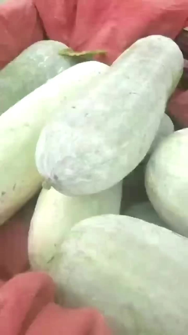 白皮冬瓜有货了，需要的抓紧时间联系
