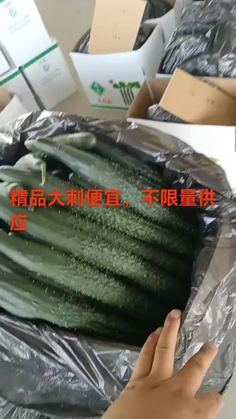 甘肃省白银市靖远县精品大刺黄瓜
