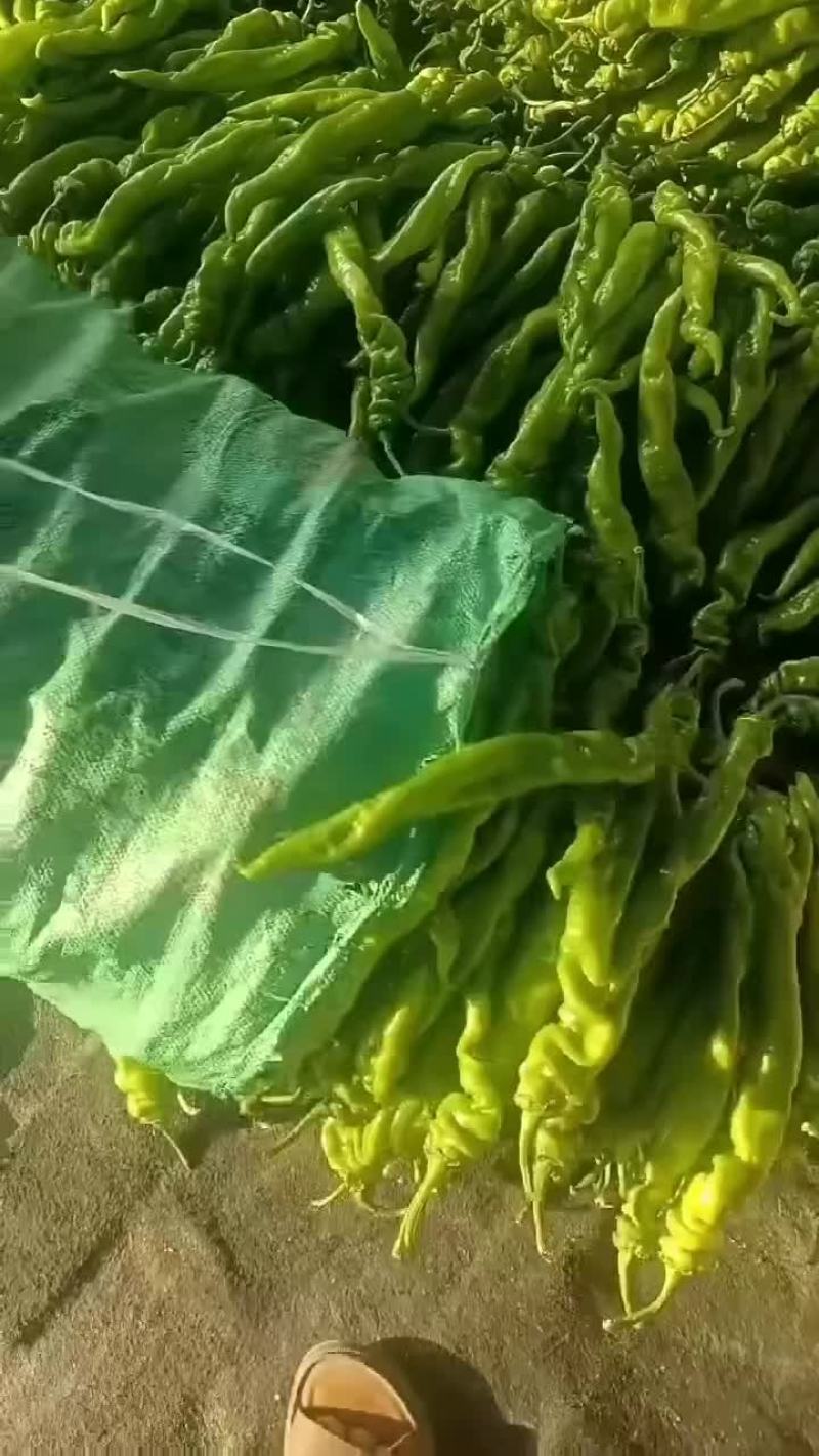 螺丝椒