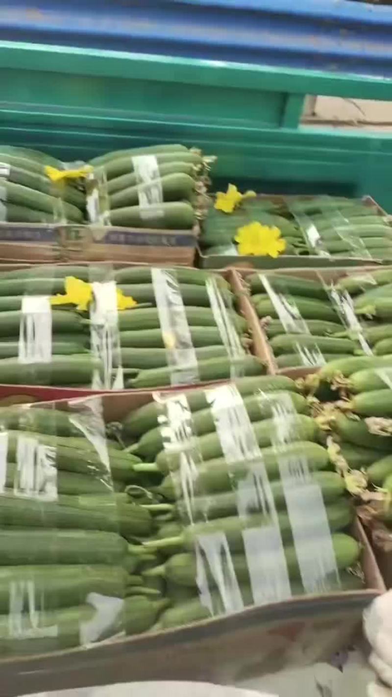 丝瓜