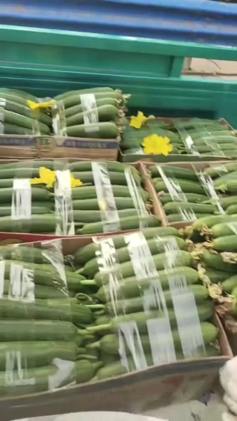 丝瓜