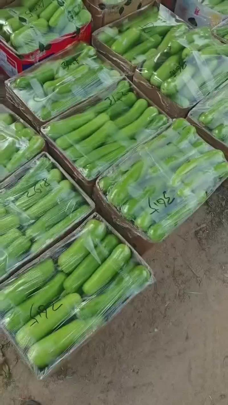 户子
