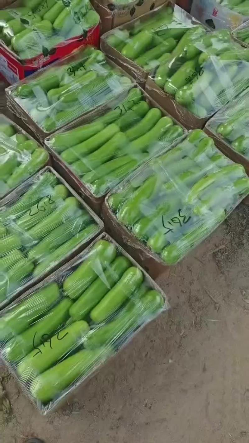 户子
