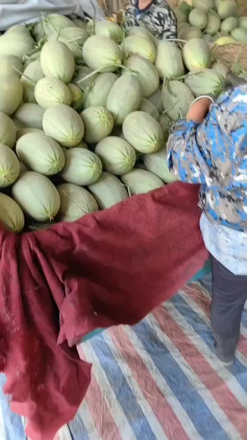 晓蜜25