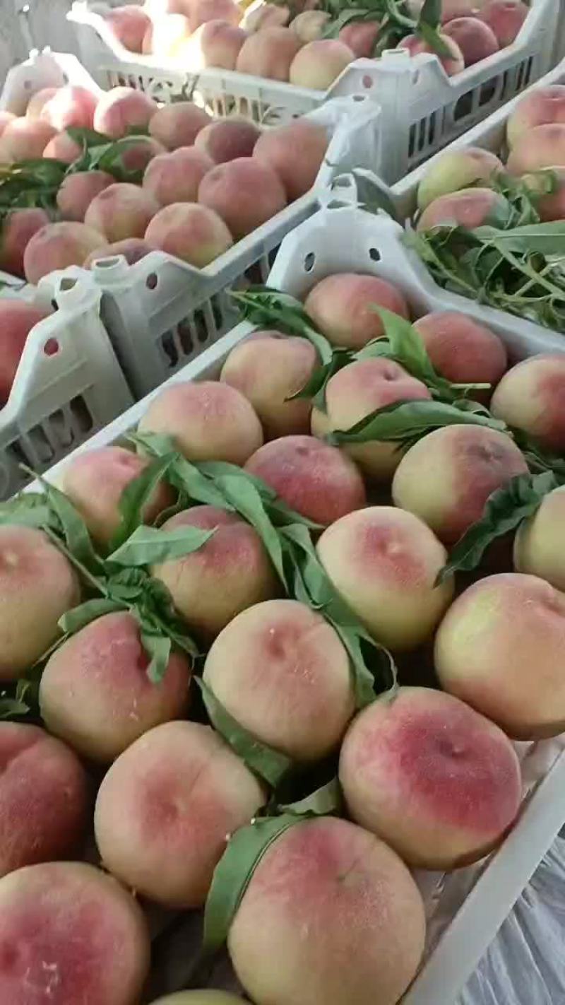 水蜜桃