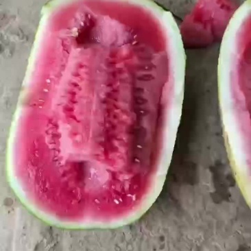 绿裳西瓜