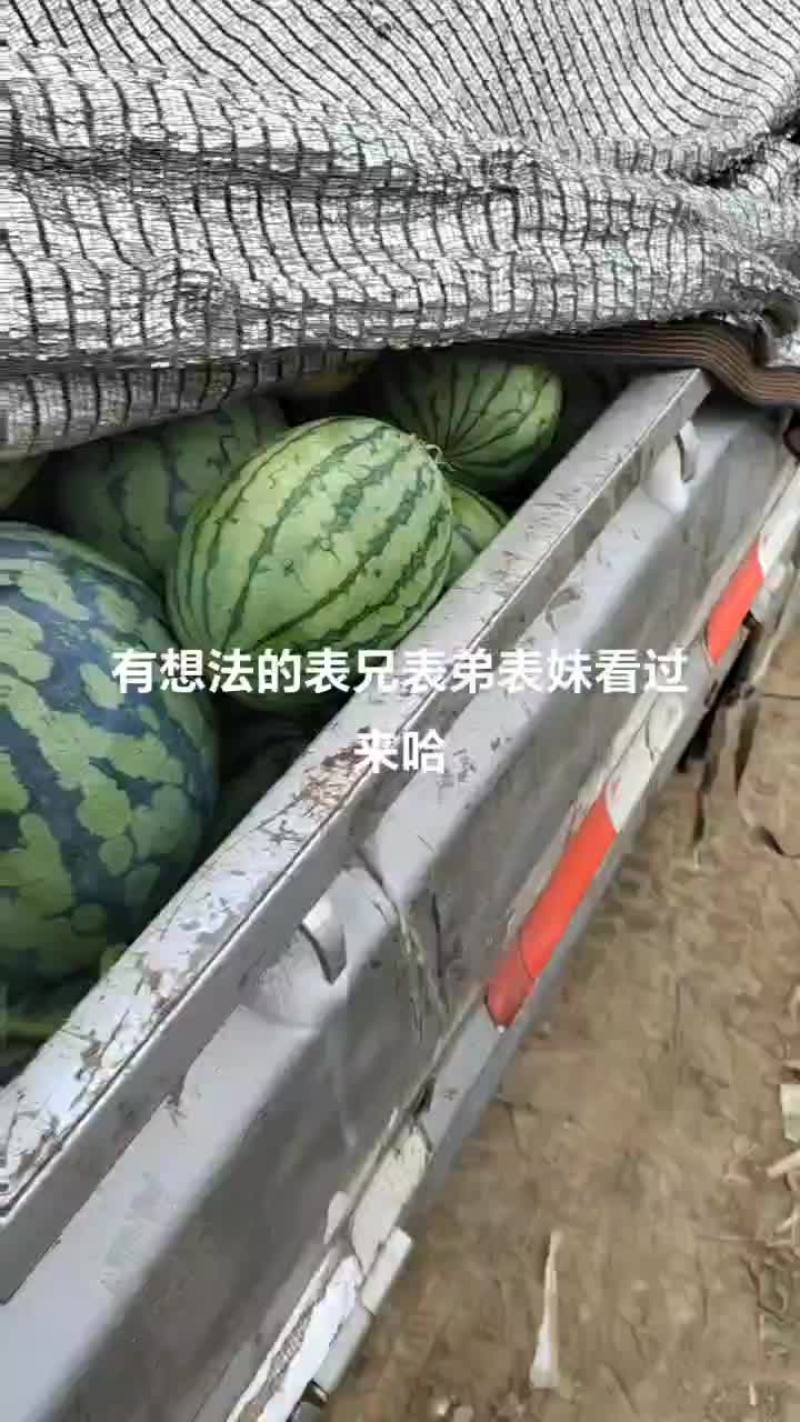 美都，早春红玉口口脆