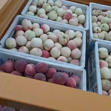黄桃