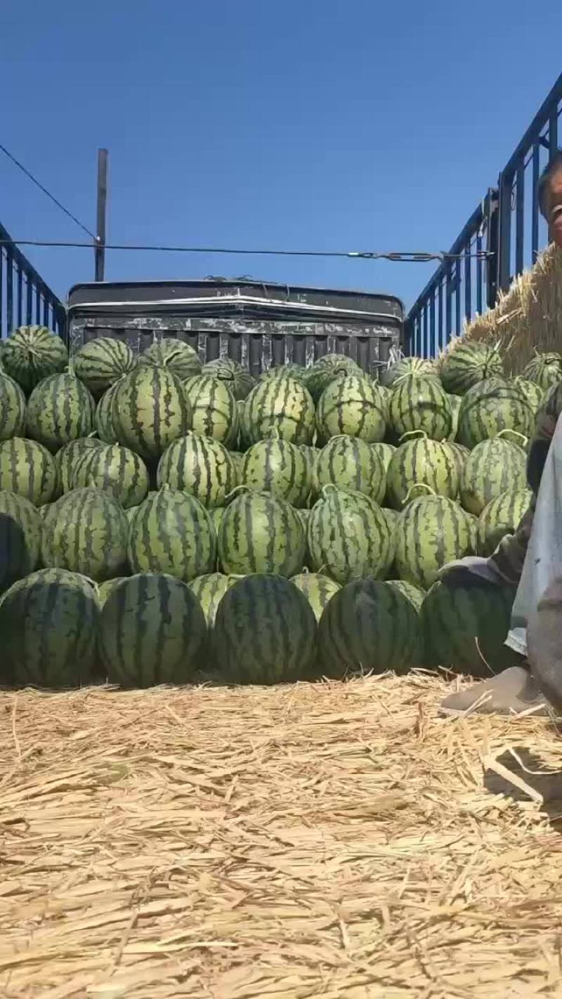甜王西瓜，保质保量代发全国，甜度好。