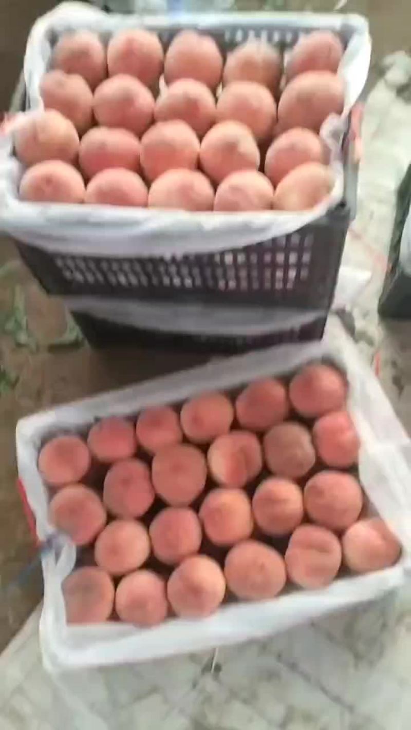 突围桃