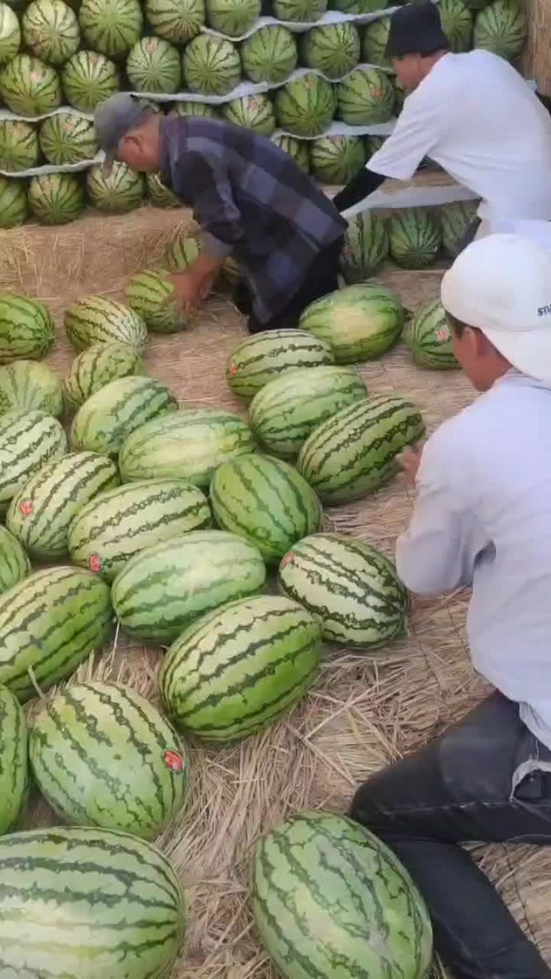 大量供应宁夏香山硒沙瓜产地直发全国供应