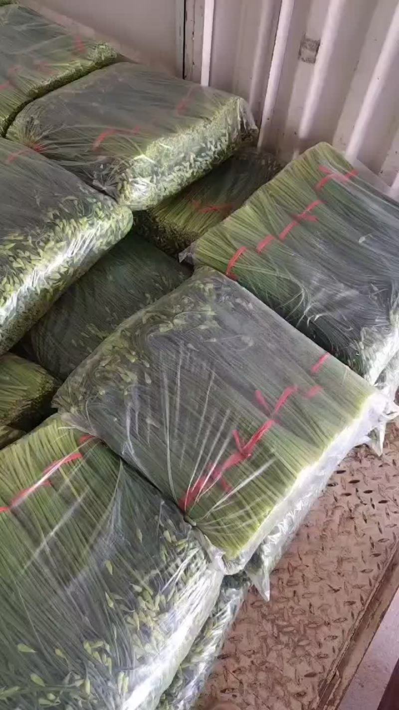 韮苔