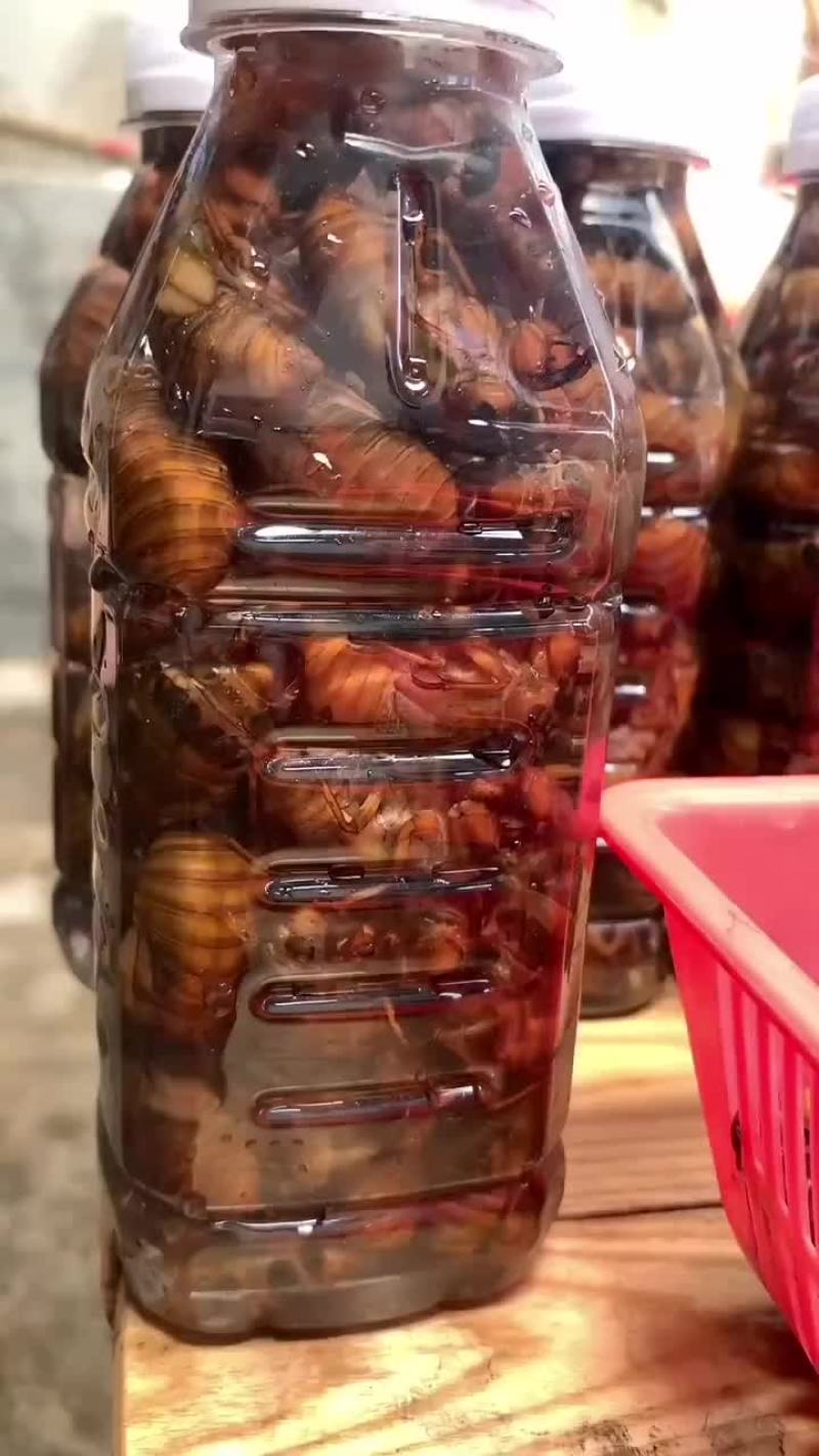 金蝉知了猴，速冻金蝉，白蝉，黑蝉，量大从优