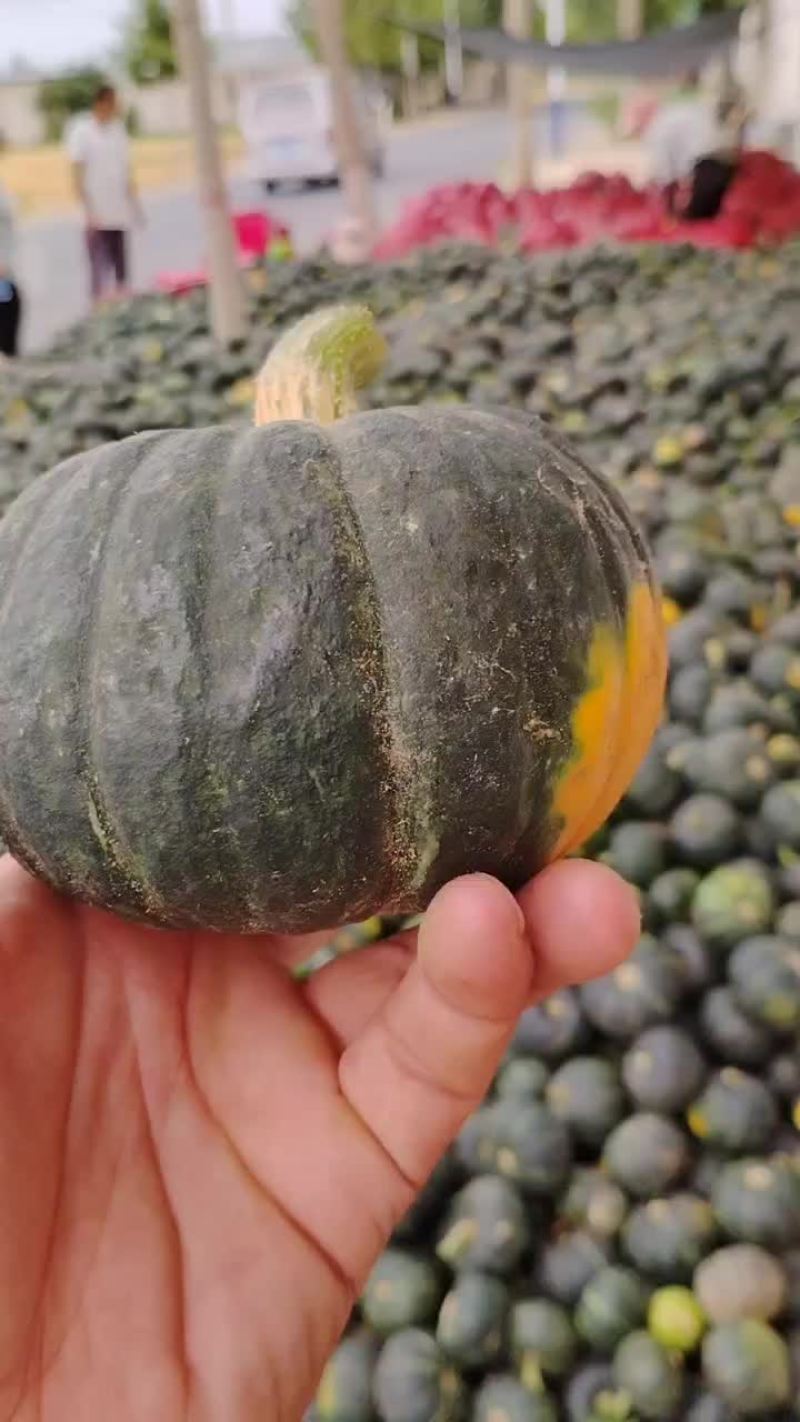 精品栗香贝贝南瓜