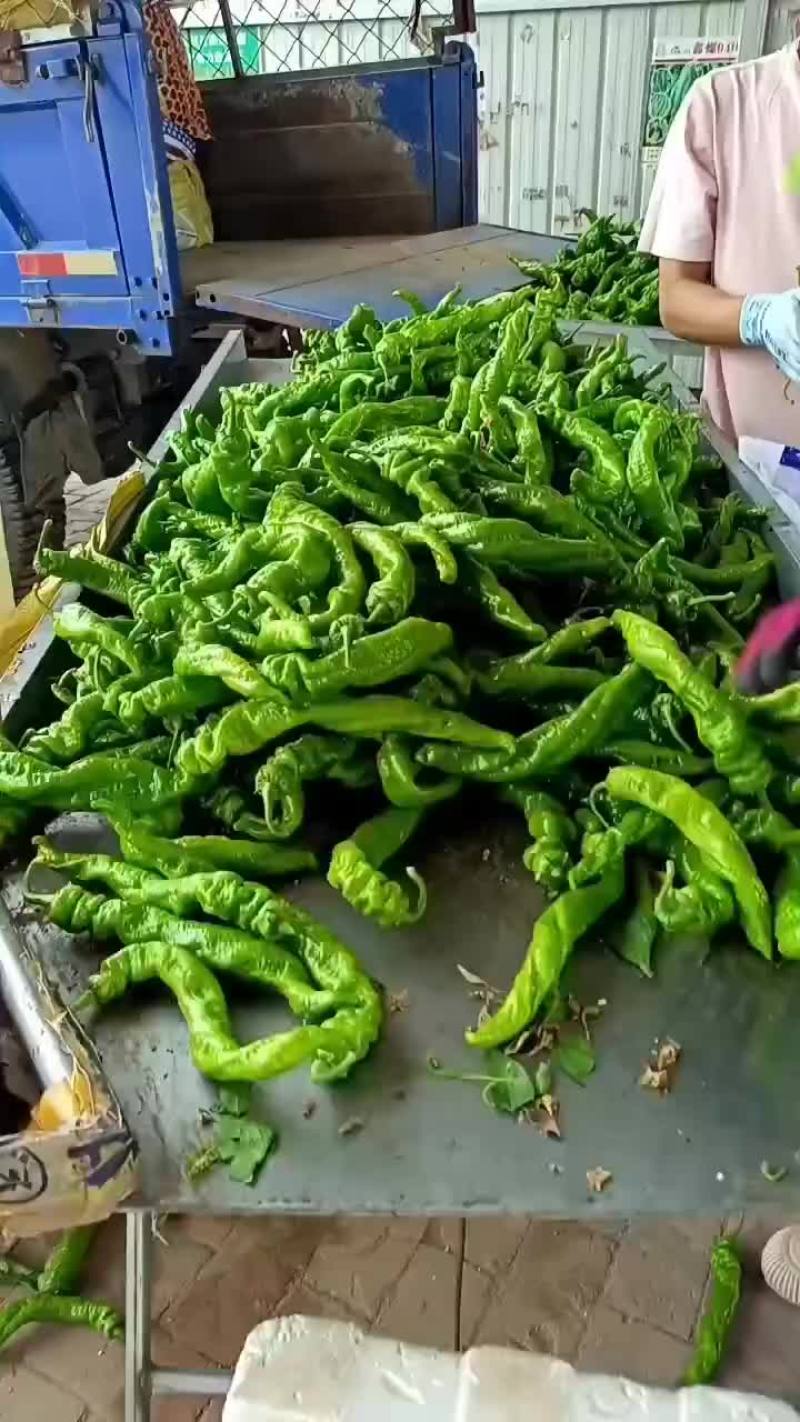 螺丝椒