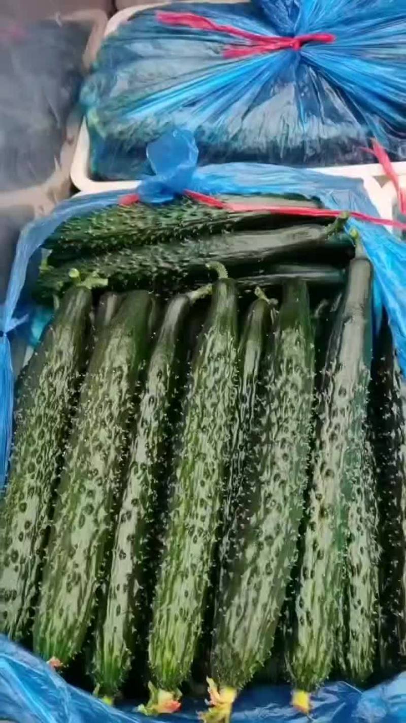 黄瓜