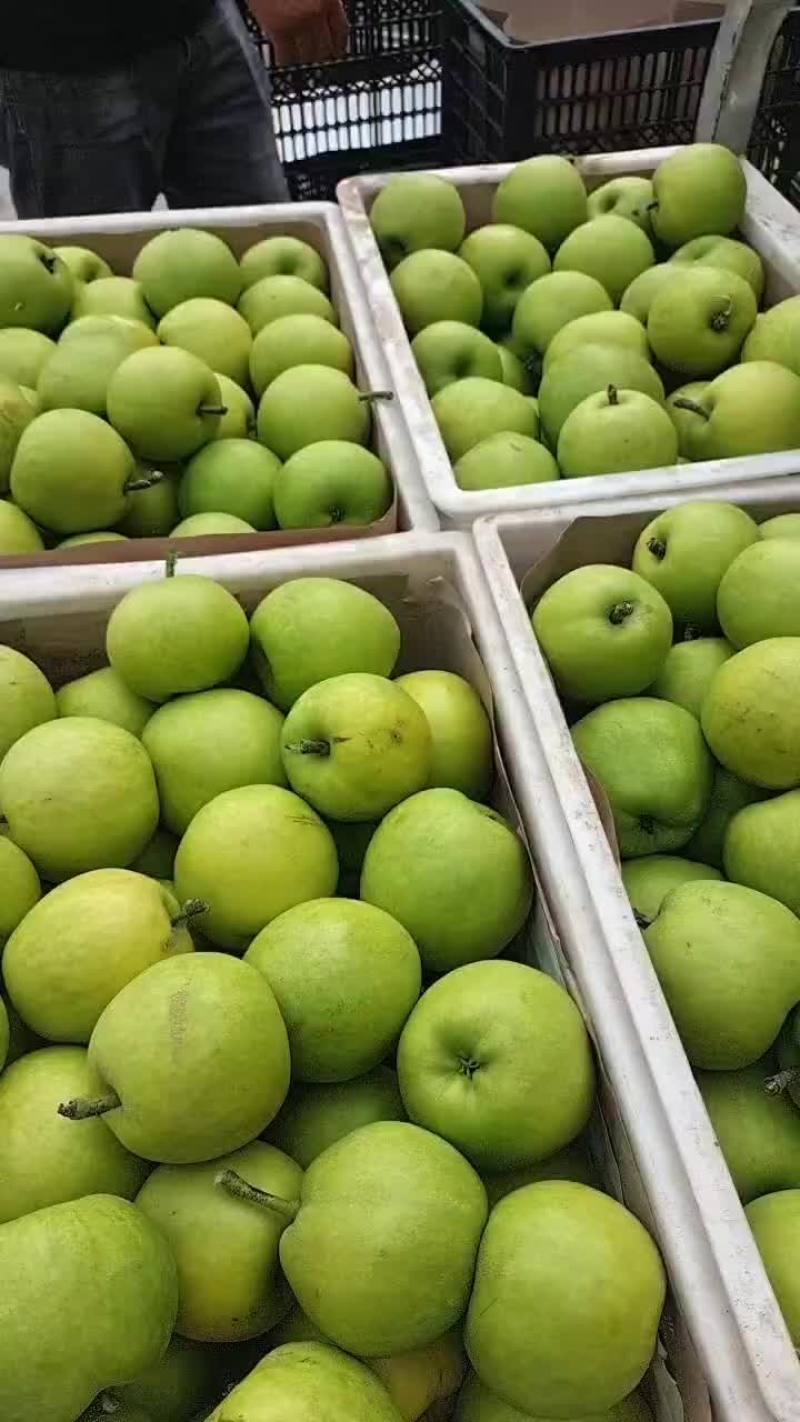 皮薄汁多无渣