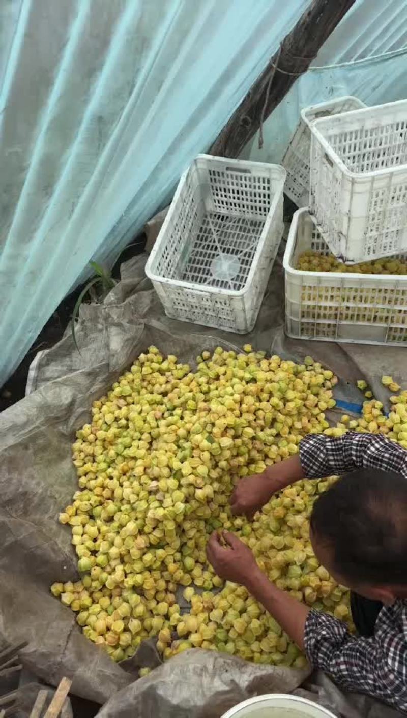 口感嘎嘎好