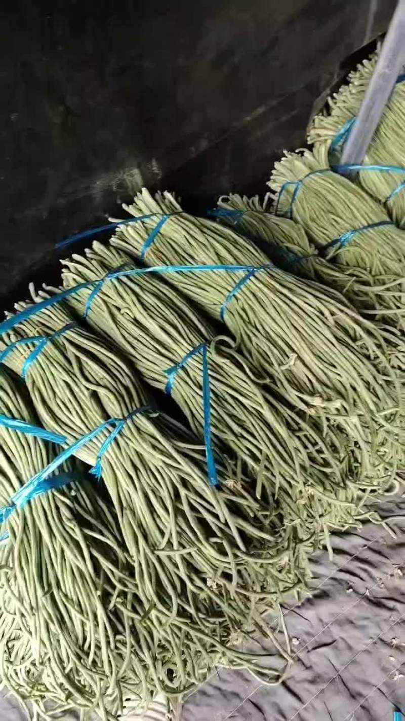 宿州埇桥青条豆角大量供应