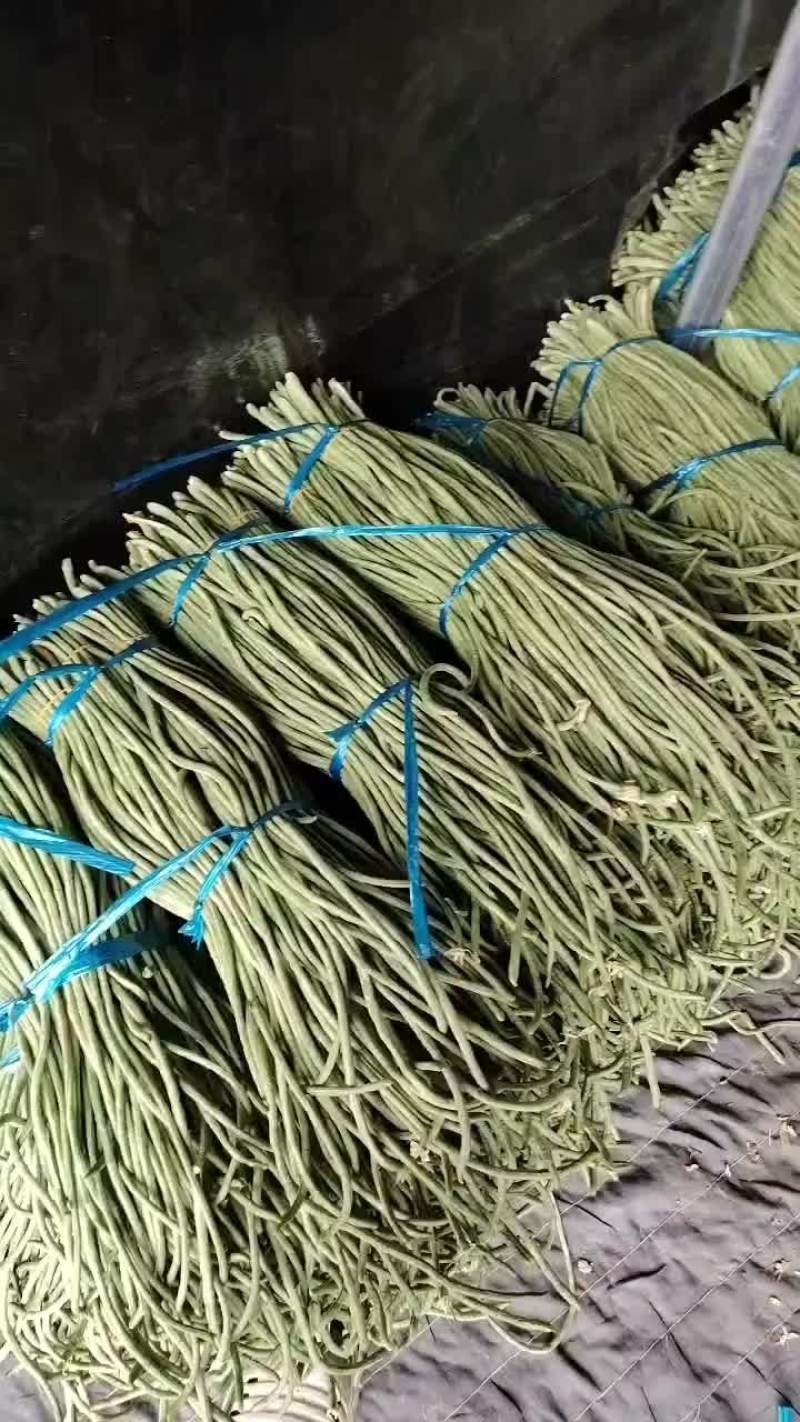 宿州埇桥青条豆角大量供应