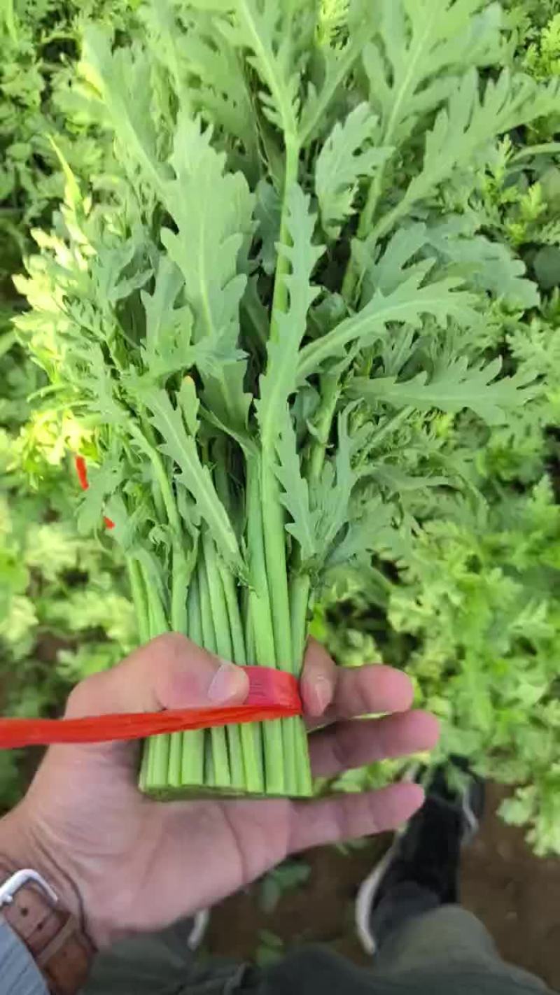 茼蒿