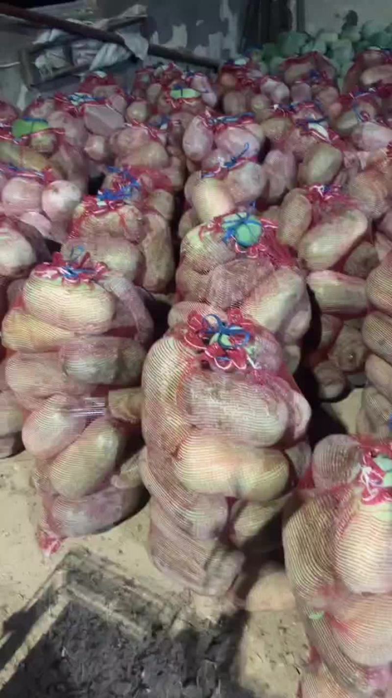 水果冬瓜