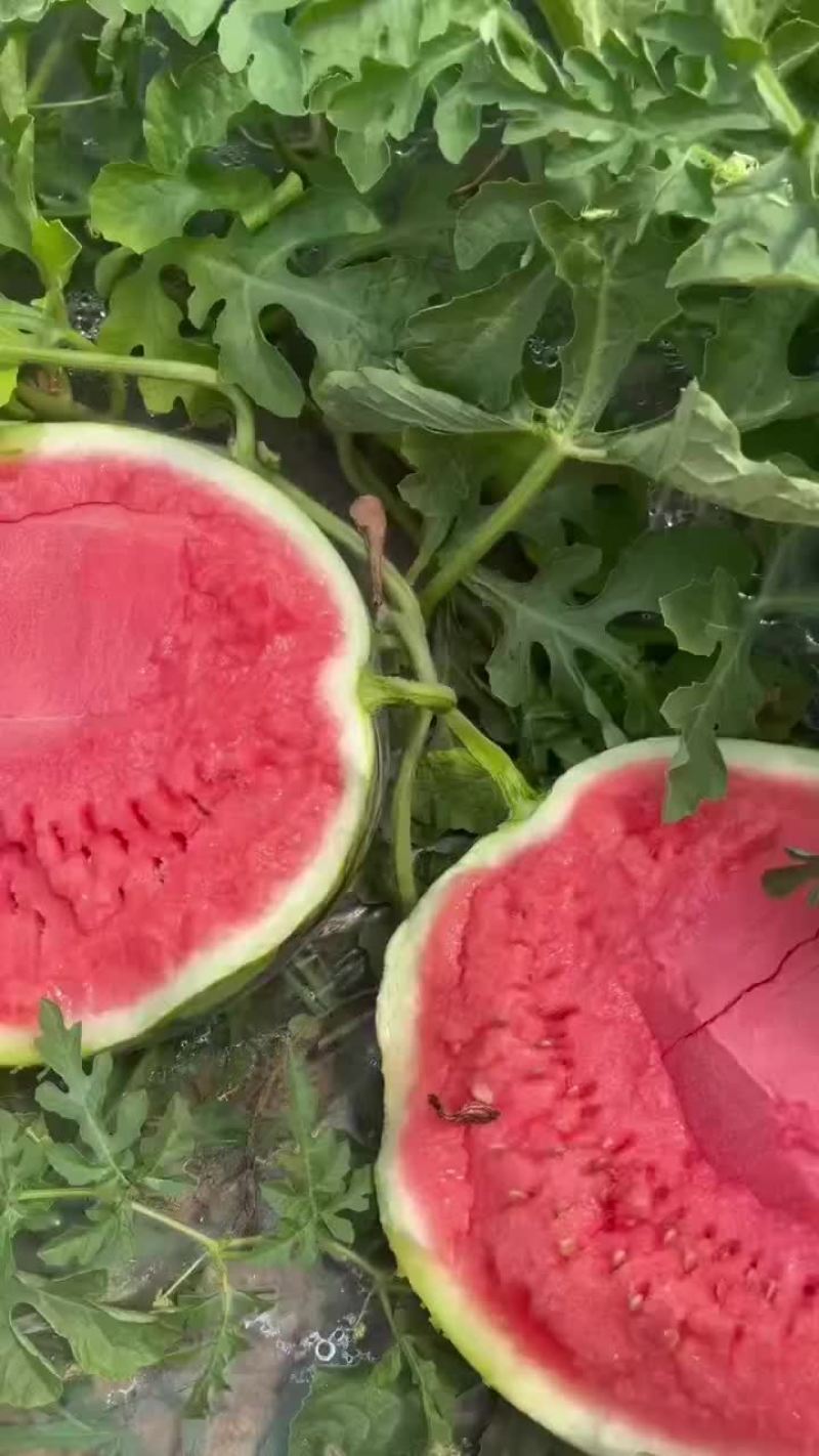 西瓜