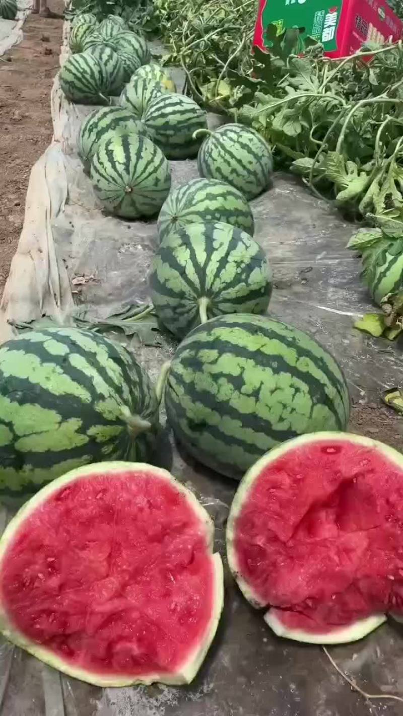 西瓜