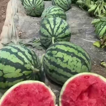 西瓜