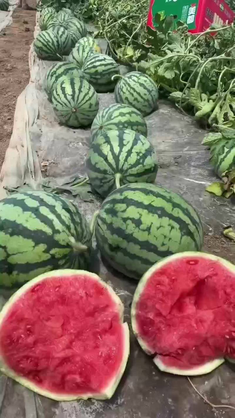 西瓜