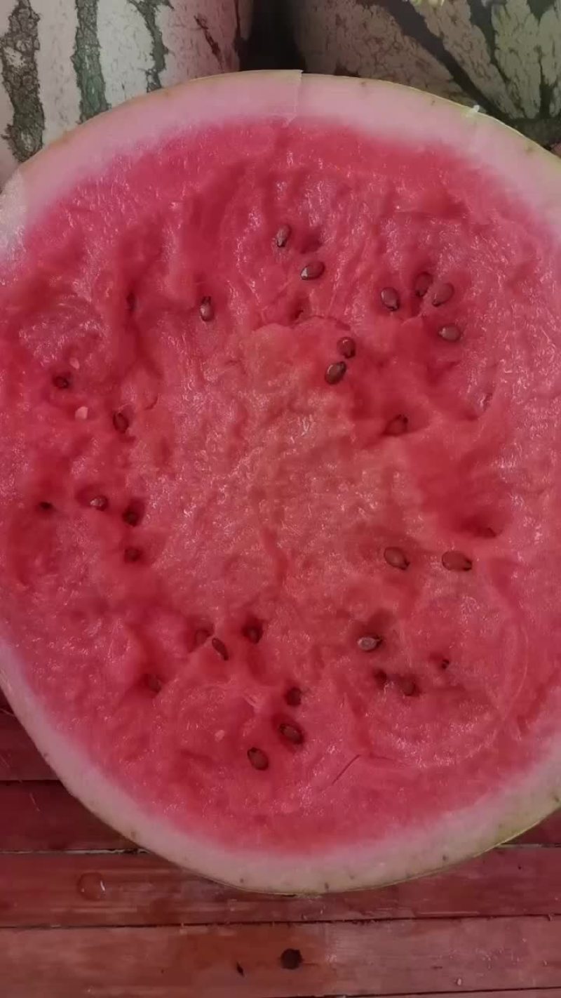 锦王无粒西瓜，香甜可口，个大皮薄