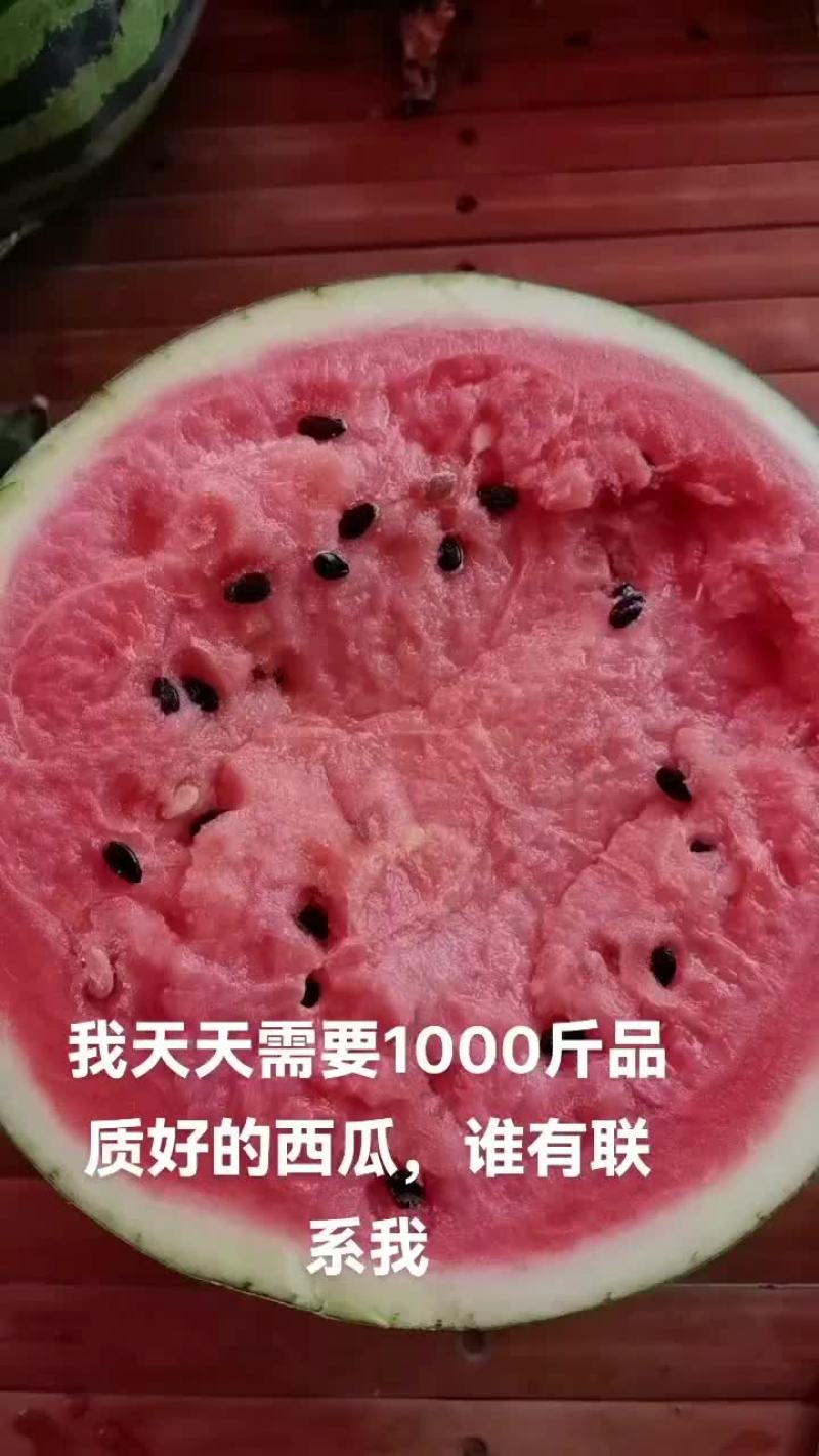 锦王无粒西瓜，香甜可口，个大皮薄