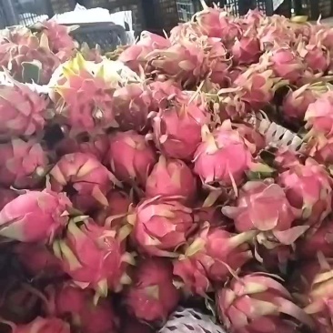 有想买的老板可以联系我