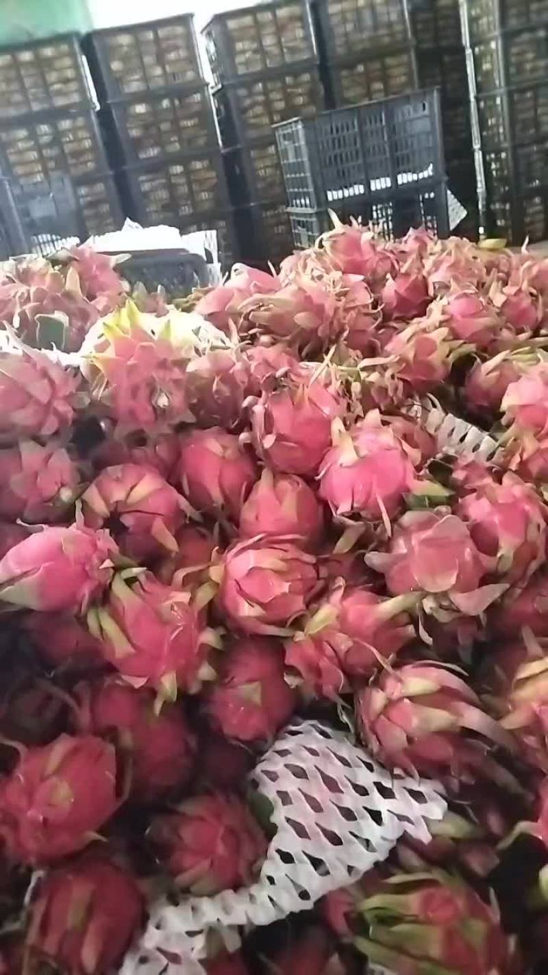 有想买的老板可以联系我